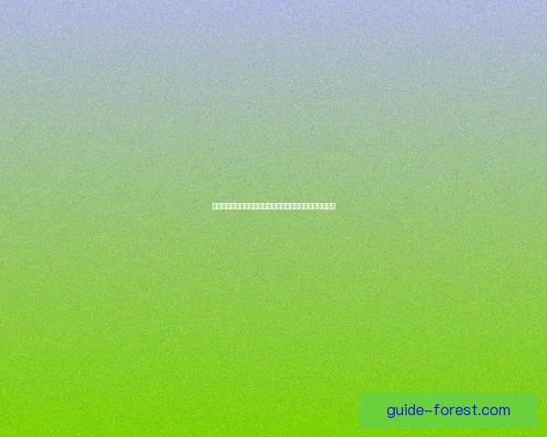 剑神刷图加点详细解析助你轻松闯关获取最强输出与生存能力