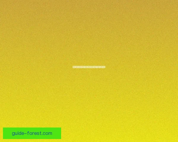 新飞飞牧师加点：颠覆传统，点燃灵魂的奇迹道路